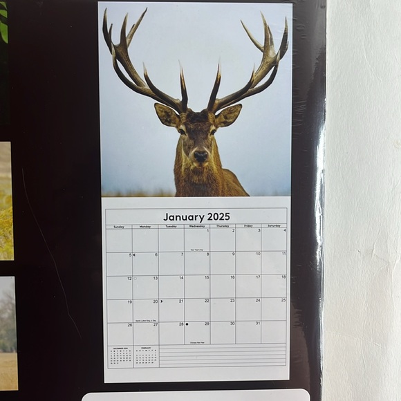 North America Wild Life 2025 12 Month Calendar NIP - Picture 2 of 16